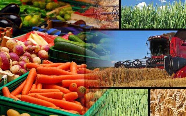 تولید بیش از 6 میلیون تن محصول کشاورزی در آذربایجان غربی