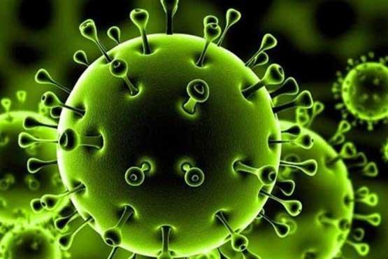 تعداد مبتلایان به ویروس کرونا به 3513 نفر افزایش یافت