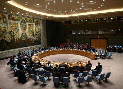 جلسه شورای امنیت برای اولین بار غیر حضوری برگزار می گردد