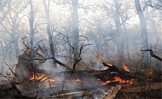 جنگل های زاگرس جولانگاه آتش، بوق های بی سرانجام پاسخ جدید مسئولان به پیگیری ها