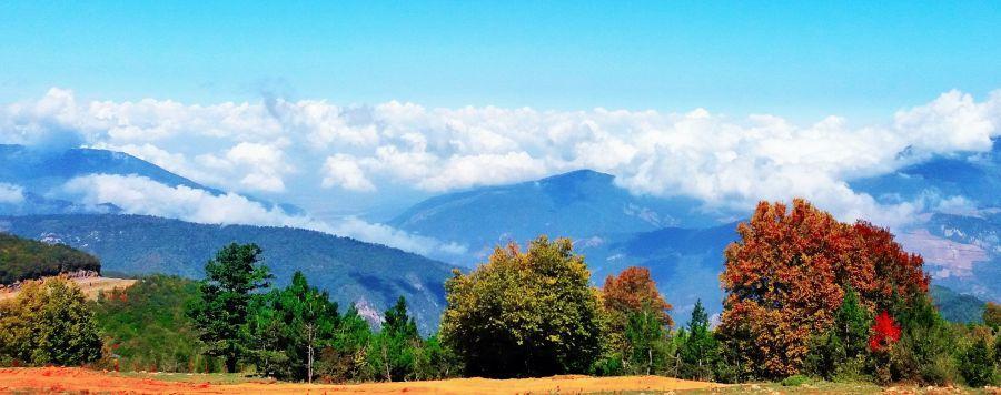 معرفی جاذبه گردشگری و زیبای جنگل ابر