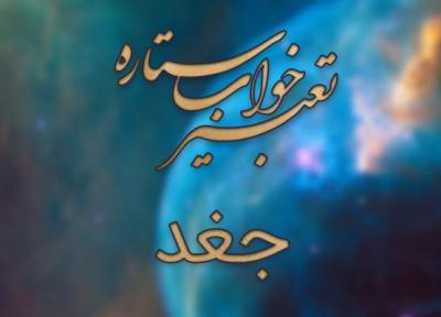 تعبیر خواب جغد (بوف)