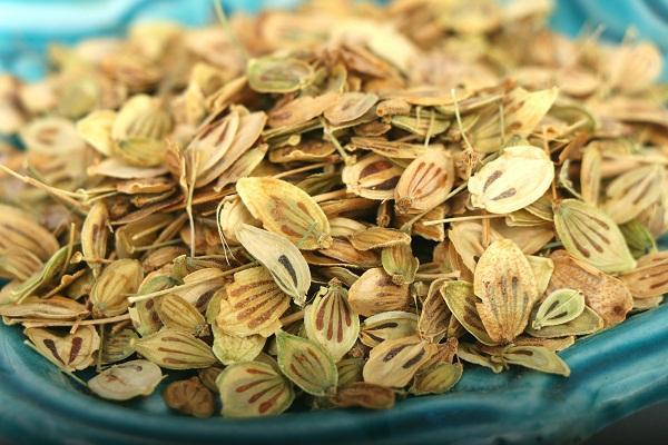 با چای گلپر باهوش شوید با چای گلپر باهوش شوید