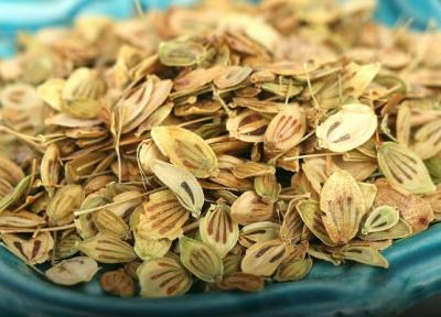 با چای گلپر باهوش شوید