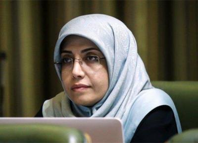 مجلس به پررنگ شدن نقش شوراها یاری کند