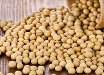 فواید سویا آجیلی و مزیت های مصرف آن