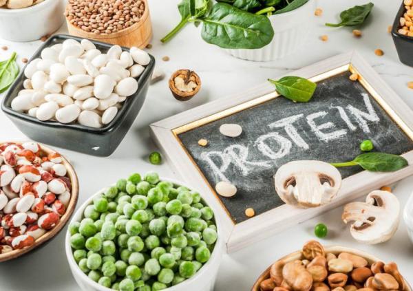 آیا مصرف بیش از حد پروتئین مضر است؟