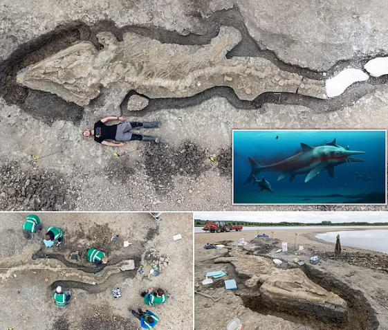 کشف فسیل 10 متری اژدهای دریایی